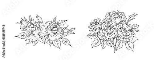 Rose flower arrangement line art on white background. Silhouette roses botanical hand drawn element for wedding, invitation frame design, vector illustration