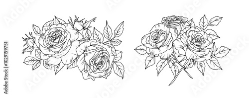 Rose flower arrangement line art on white background. Silhouette roses botanical hand drawn element for wedding, invitation frame design, vector illustration