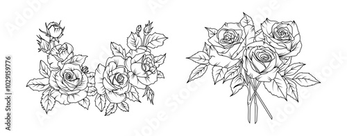 Rose flower arrangement line art on white background. Silhouette roses botanical hand drawn element for wedding, invitation frame design, vector illustration