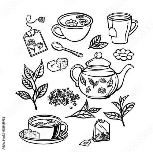Tea cups, bag and leaves vintage vector sketch drawing. Vector illustration