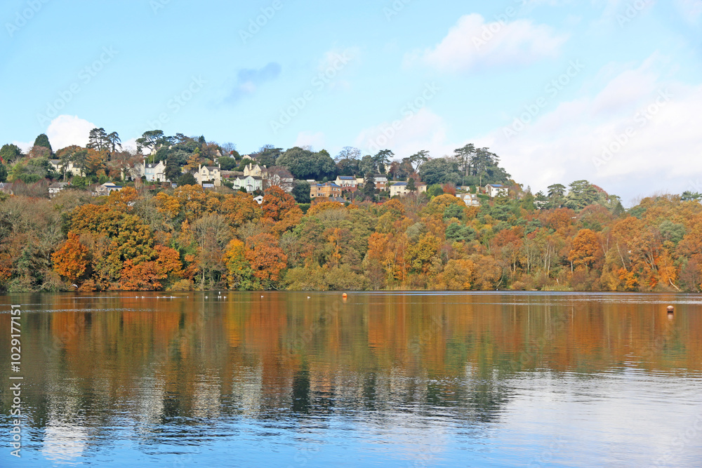 Pond in Decoy Country Park, Devon in Autumn Pond in Decoy Country Park, Devon in Autumn