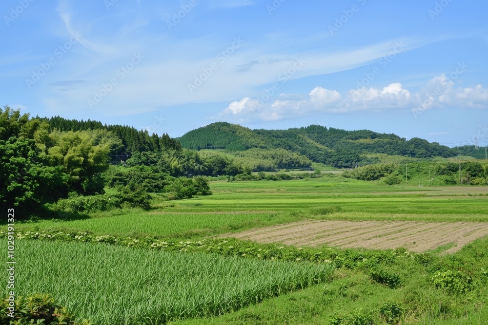 Tranquil green fields stretch beneath a blue sky in rural landscape with rolling hills Tranquil green fields stretch beneath a blue sky in rural landscape with rolling hills