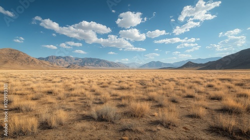 A landscape a vast empty space desert field