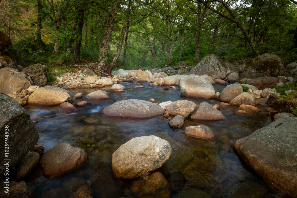 Large rounded stones in a river between trees with long exposure on a cloudy day in dim light Large rounded stones in a river between trees with long exposure on a cloudy day in dim light