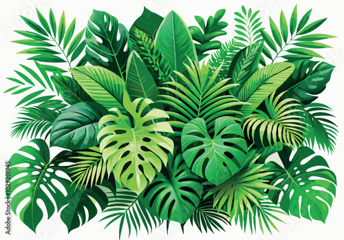 Tropical jungle plants showing lush green foliage