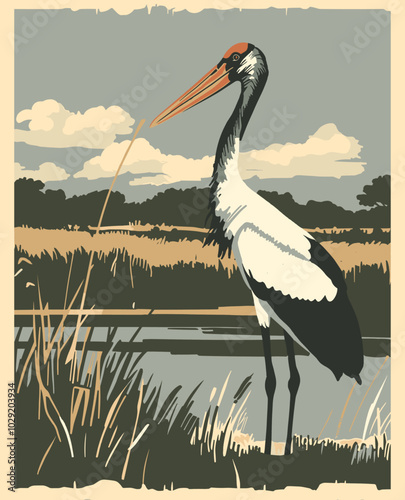 Tropical Saddle-billed stork standing in lake poster, national park, vintage flat design, abstract silhouette, minimal color, 2D vector travel art

