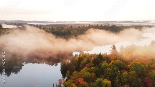Aerial view of a lake and forest in autumn