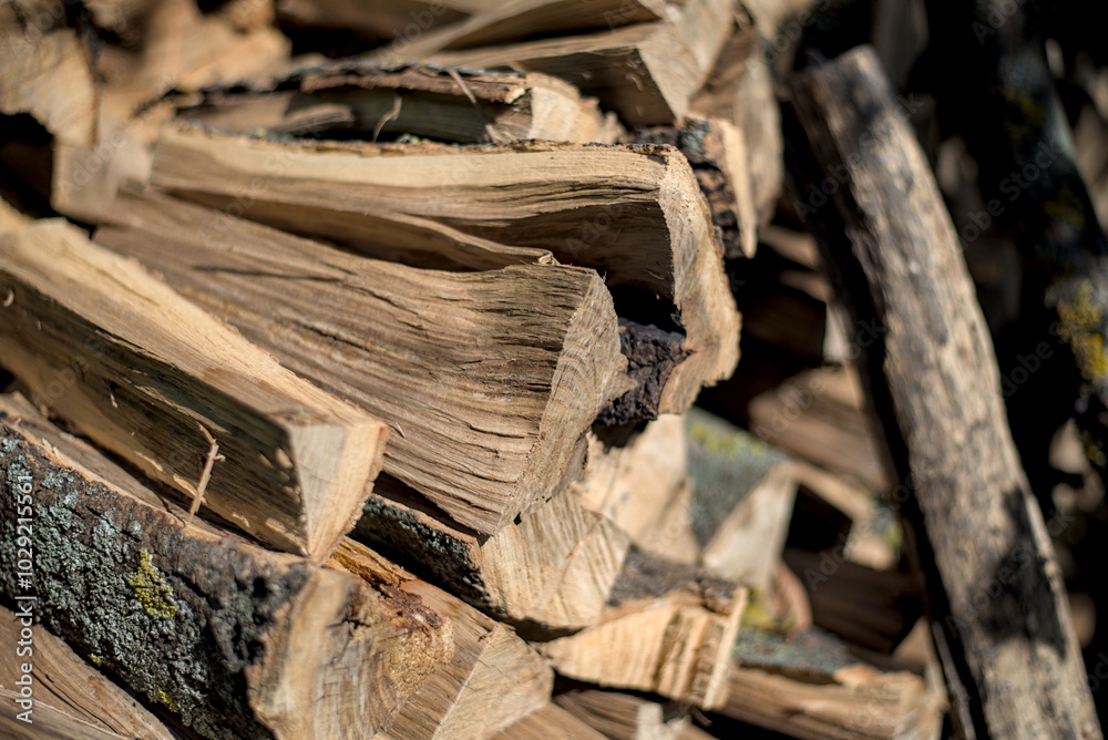 Stacked firewood on the sunlight