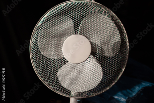 Three-bladed fan in a protective mesh.