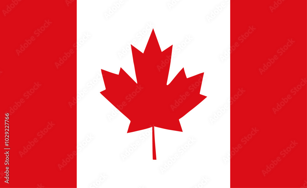 Canadian flag, vector illustration. The national flag of Canada. Canadian flag, vector illustration. The national flag of Canada.