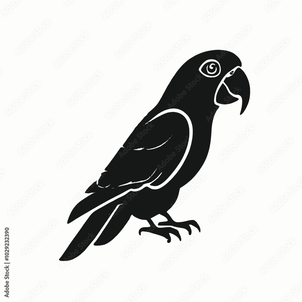 Fototapeta premium A black parrot with a large beak and distinctive feather patterns