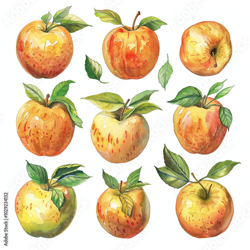 Ripe orange watercolor apples set on a white background. Design template of fresh harvest, for backdrops, wallpapers, prints and textiles.