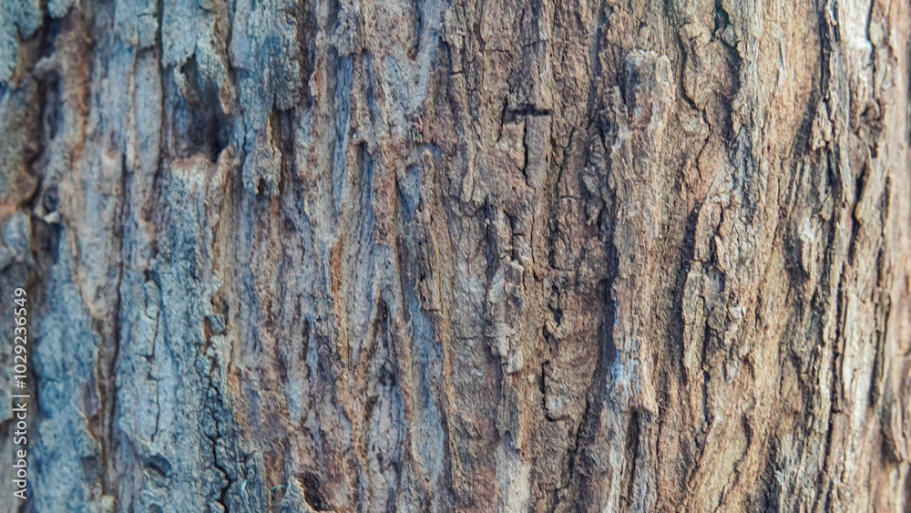 Tree trunk, green leaves, sunlight through canopy. Suitable for nature blogs, environmental websites, or wellness publications.
Tree trunk, green leaves, sunlight through canopy. Suitable for nature blogs, environmental websites, or wellness publications.