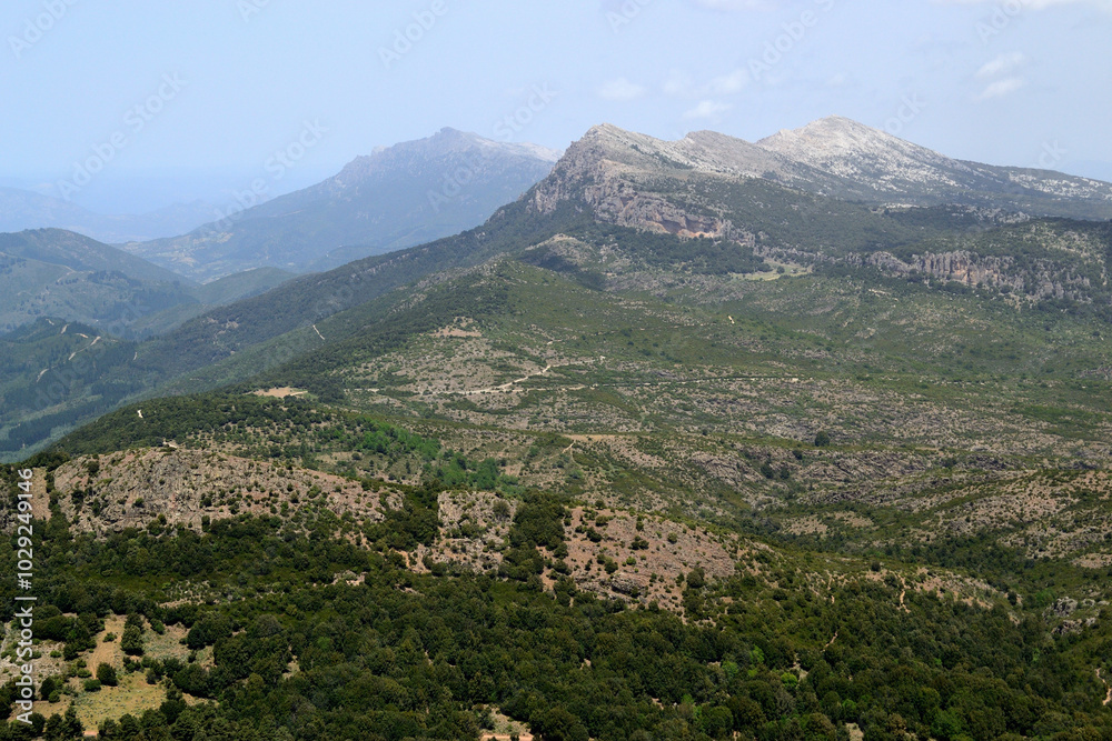 Obraz premium Panorama da Monte Novo San Giovanni, sullo sfondo Punta Solitta
