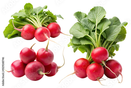 Radish Rapture Celebrating Fresh Produce in Seasonal Cuisine