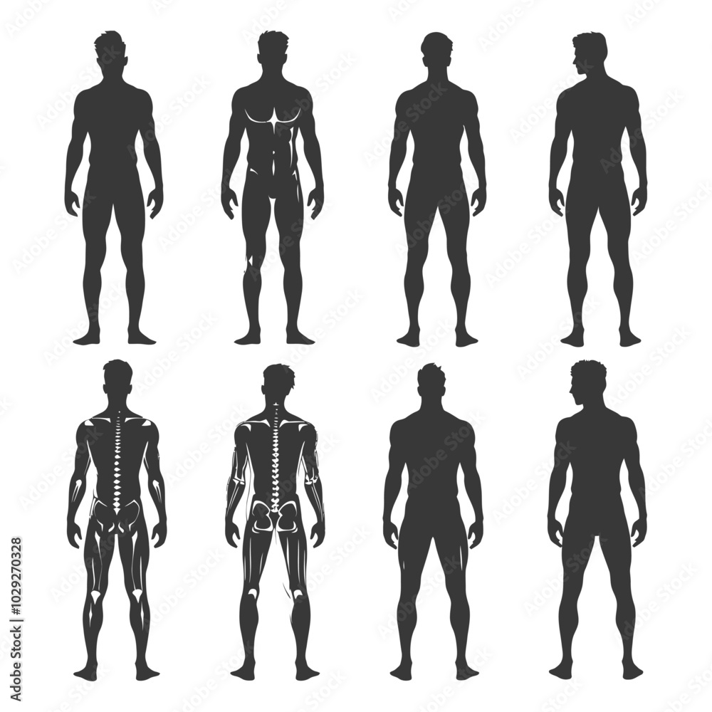 Eight Silhouettes of a Male Figure in Different Poses Eight Silhouettes of a Male Figure in Different Poses