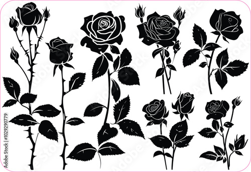 Rose flower Silhouettes set, Rose flowers Collection, Silhouettes of roses, Flower silhoutte. Vector illustration photo