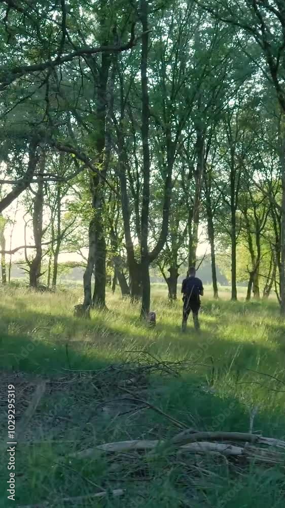 Man walks through a forest with the sun shining through the trees Man walks through a forest with the sun shining through the trees