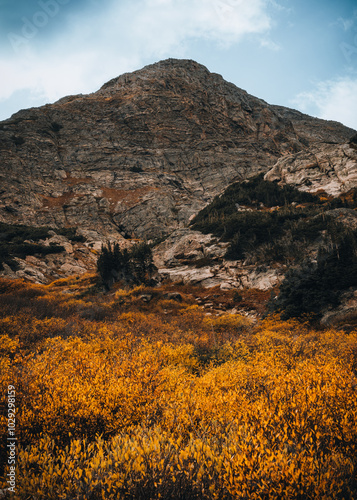 landscape in the morning