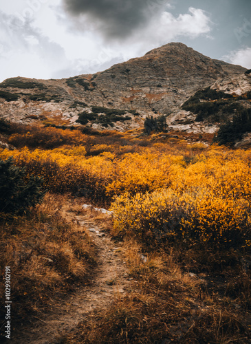 landscape in autumn