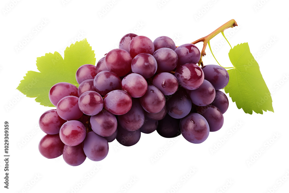 Fototapeta premium Red grape on transparent background. PNG cutout. Wine related themes. Wine professions. Oenologist. Wine shop. Buying and selling wine. Images for graphic designers. Isolated wine. Image for website