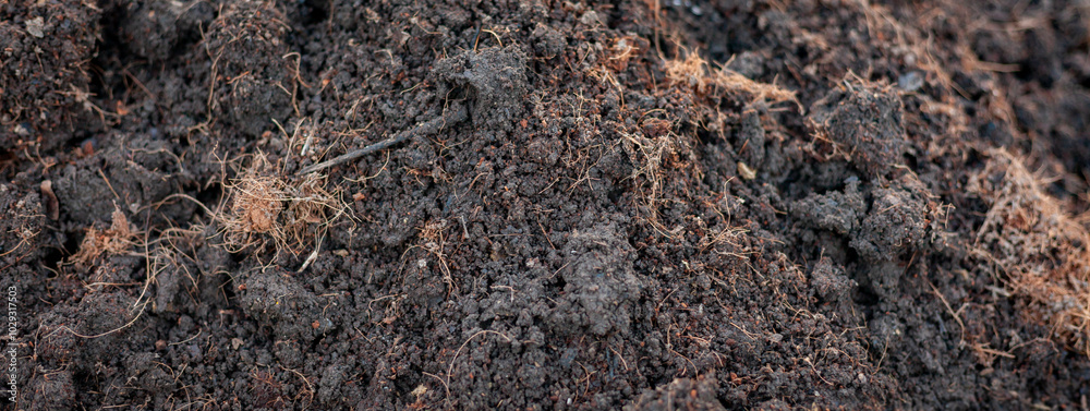 Soil for growing seedlings, vegetables in the nursery. Soil mixture with manure, husks, coconut husks, fermented before planting. Close-up photo of soil. Soil preparation Soil for growing seedlings, vegetables in the nursery. Soil mixture with manure, husks, coconut husks, fermented before planting. Close-up photo of soil. Soil preparation