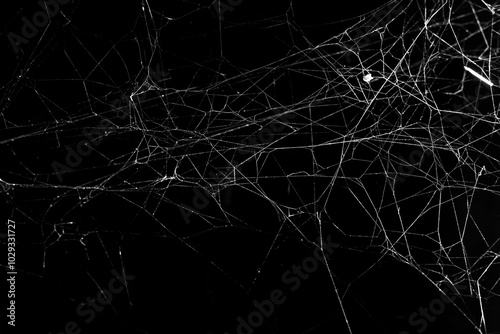 cobweb on a dark background