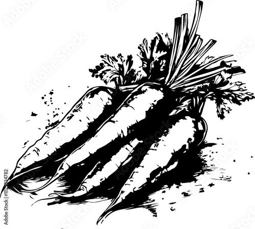 Black and White Vector Illustration of Fresh Carrots with Green Tops; Ideal for Culinary and Organic Theme Designs