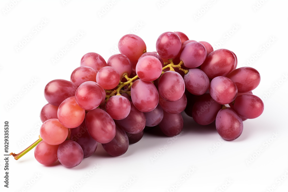 Red grape on withe background. PNG cutout. Wine related themes. Wine professions. Oenologist. Wine shop. Buying and selling wine. Images for graphic designers. Isolated wine. Image for website Red grape on withe background. PNG cutout. Wine related themes. Wine professions. Oenologist. Wine shop. Buying and selling wine. Images for graphic designers. Isolated wine. Image for website