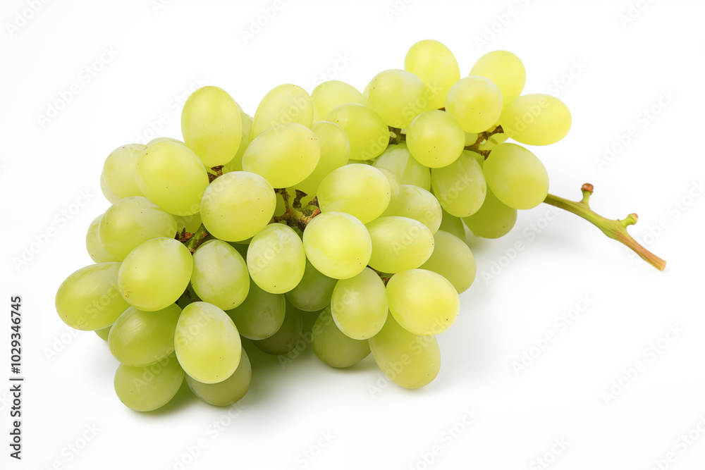 White grape on withe background. PNG cutout. Wine related themes. Wine professions. Oenologist. Wine shop. Buying and selling wine. Images for graphic designers. Isolated wine. Image for website White grape on withe background. PNG cutout. Wine related themes. Wine professions. Oenologist. Wine shop. Buying and selling wine. Images for graphic designers. Isolated wine. Image for website