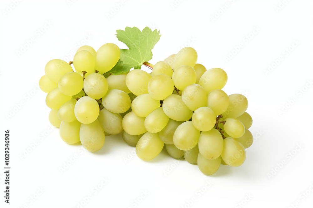 White grape on withe background. PNG cutout. Wine related themes. Wine professions. Oenologist. Wine shop. Buying and selling wine. Images for graphic designers. Isolated wine. Image for website White grape on withe background. PNG cutout. Wine related themes. Wine professions. Oenologist. Wine shop. Buying and selling wine. Images for graphic designers. Isolated wine. Image for website