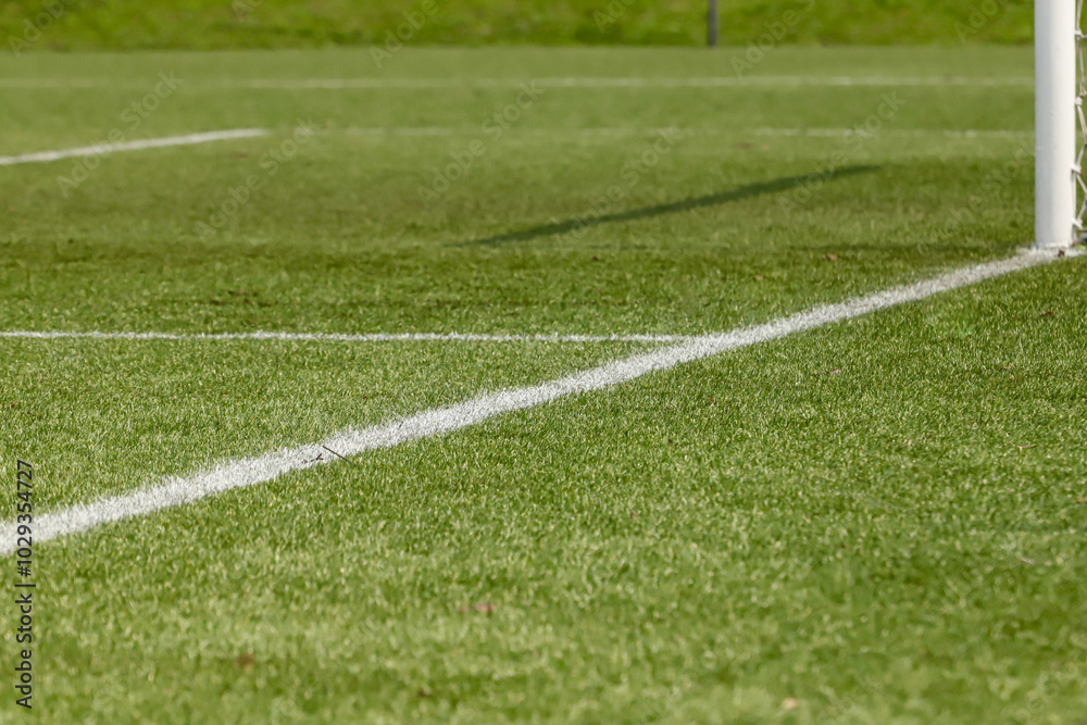 Obraz premium Football field with synthetic grass, with its lines near the goal, goalpost and goal nets.