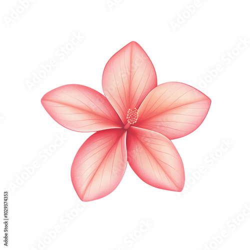 watercolor Pink flower with soft petals, white background transparent background
