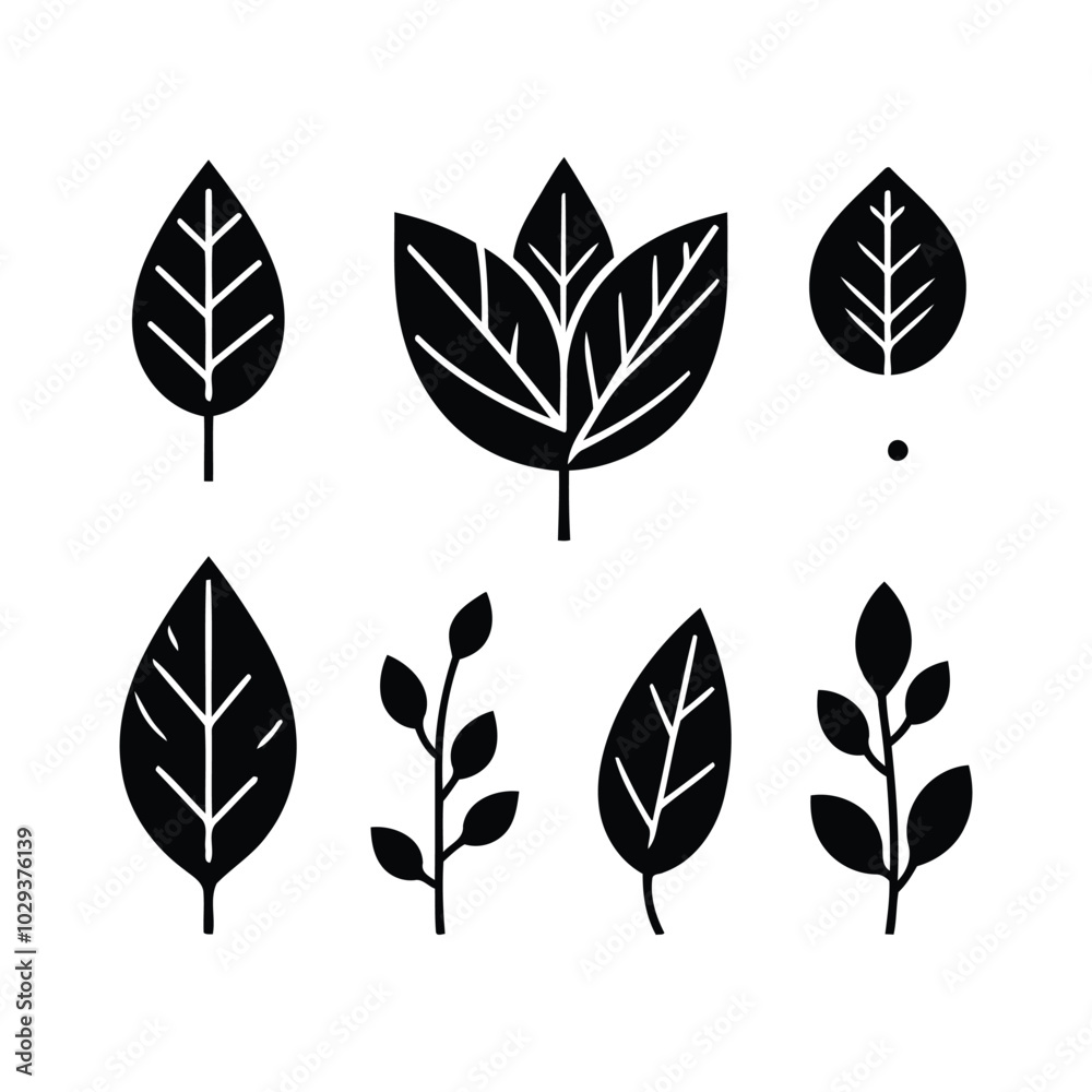 Fototapeta premium Leaf Silhouettes Set Collection vector