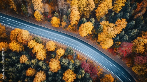 Aerial view of a highway cutting through a forest of vibrant autumn colors. 