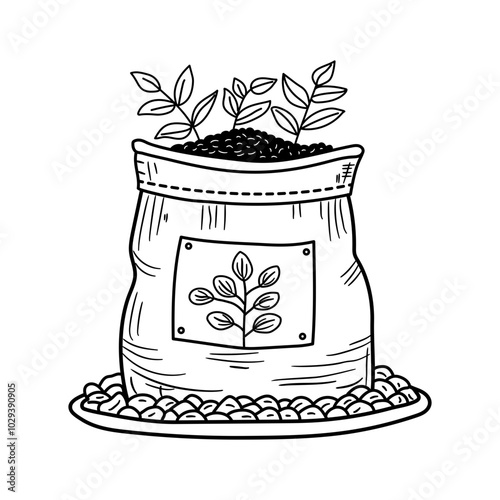 Hand drawn illustration of a seed bag filled with seeds and a growing plants