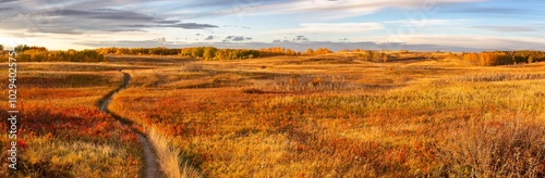 Nose Hill Calgary Alberta Urban City Park Panoramic Landscape. Hiking Footpath Trail Autumn Colour Change Natural Prairie Grassland Horizon
