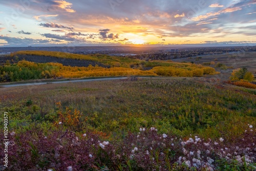 Fototapeta Naklejka Na Ścianę i Meble -  Vibrant Autumn Colours Leaf Foliage Dramatic Sunset Sky.  Nose Hill Calgary Public City Park Alberta Foothills Canadian Rocky Mountains Landscape Panorama