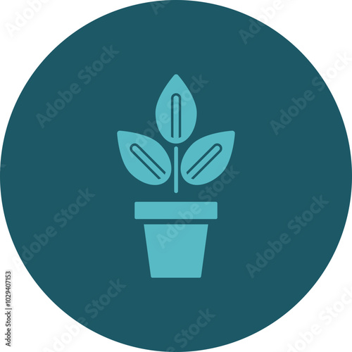 Indoor Plants Icon Design