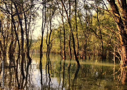 Douce symétrie : le lac et ses reflets photo