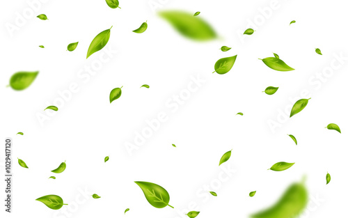 Green flying wave leaves border. Wave foliage ornament. Vegan, eco, organic design element. Leaf falling banner. Cosmetic pattern. Fresh tea background. Beauty product frame. Vector illustration