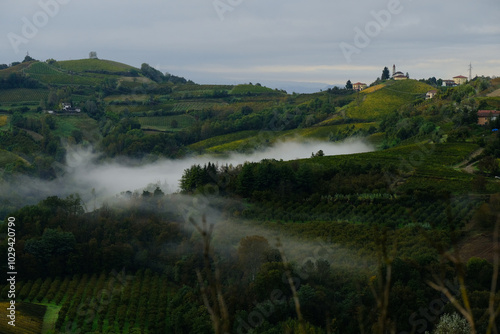 Paesaggio delle Langhe in una mattina di nuvole basse a Rocchetta Palafea in provincia di Asti, Piemonte, Italia.