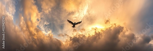 Sunny Horizon: A Panoramic View of Bright Blue Sky with Fluffy White Clouds and Sunshine