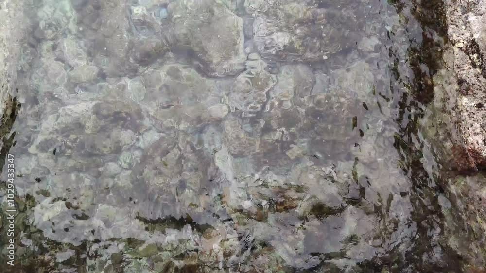 Stones Under Water Vibration Waves Beach Rocky Bottom Flat Background Nature Transparent Sea Water Rock Beach Nature Video Wallpaper Pebble beach sea shore transparent crystal shallow water stones Stones Under Water Vibration Waves Beach Rocky Bottom Flat Background Nature Transparent Sea Water Rock Beach Nature Video Wallpaper Pebble beach sea shore transparent crystal shallow water stones