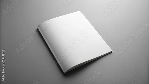 Silhouette open blank white paper brochures book on gray background