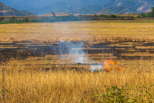 A burnt field after harvest. Nagorno-Karabakh, Azerbaijan. photo