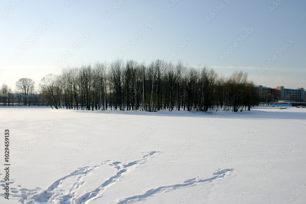Winter landscape with frozen lake, trees and blue sky in sunny day Winter landscape with frozen lake, trees and blue sky in sunny day