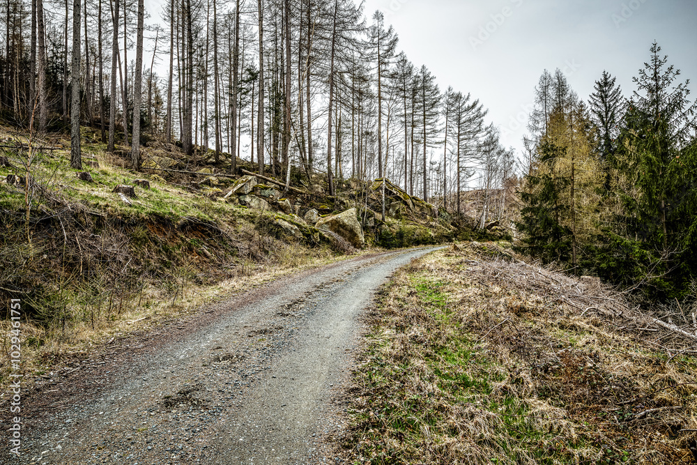 im Oberharz bei Wernigerode