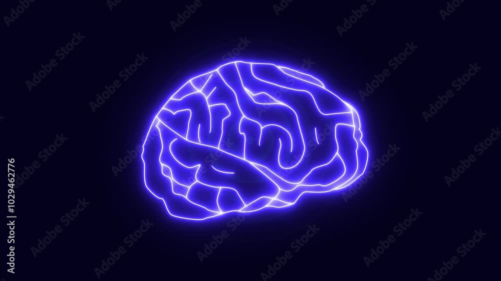 Brain model x-ray look isolated on black grid background. Looping ...