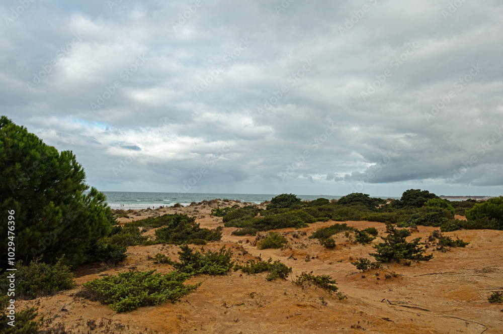 La Barrosa sand beach in Novo Sancti Petri in Andalusia La Barrosa sand beach in Novo Sancti Petri in Andalusia